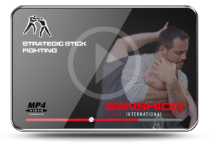 Strategic Stick Fighting